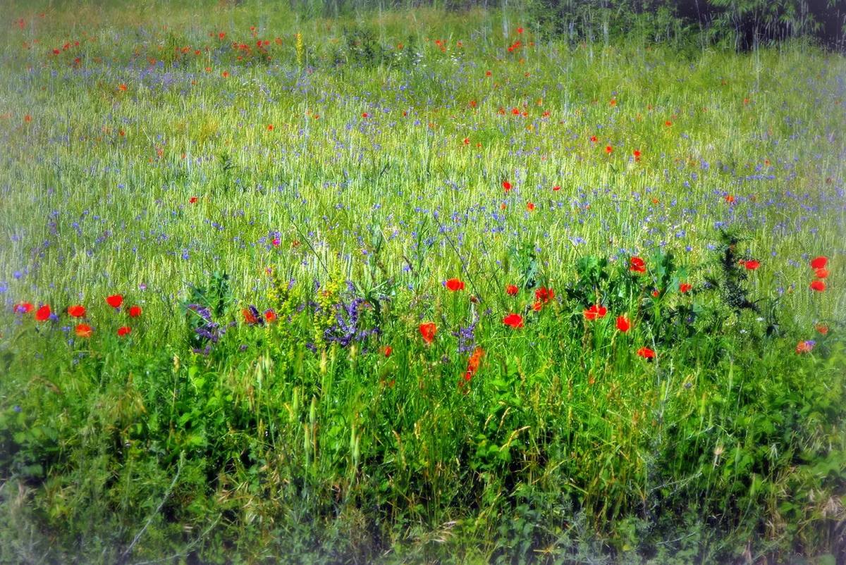 7 Best Reasons and Things to Do in Bulgaria in Spring