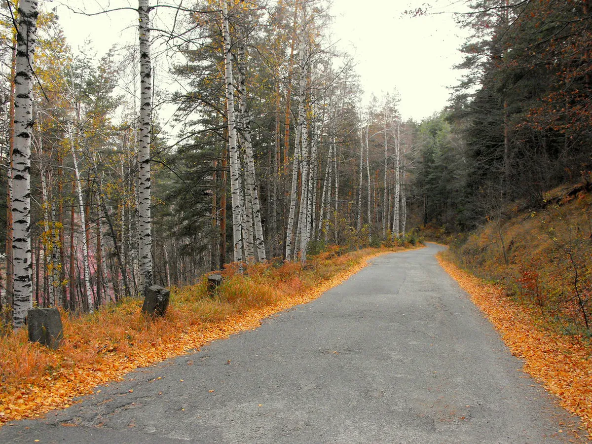 Bulgaria Road Trip Itinerary: 10 Essential Guide Sections